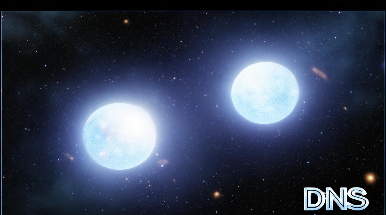双子星dns怎么联网