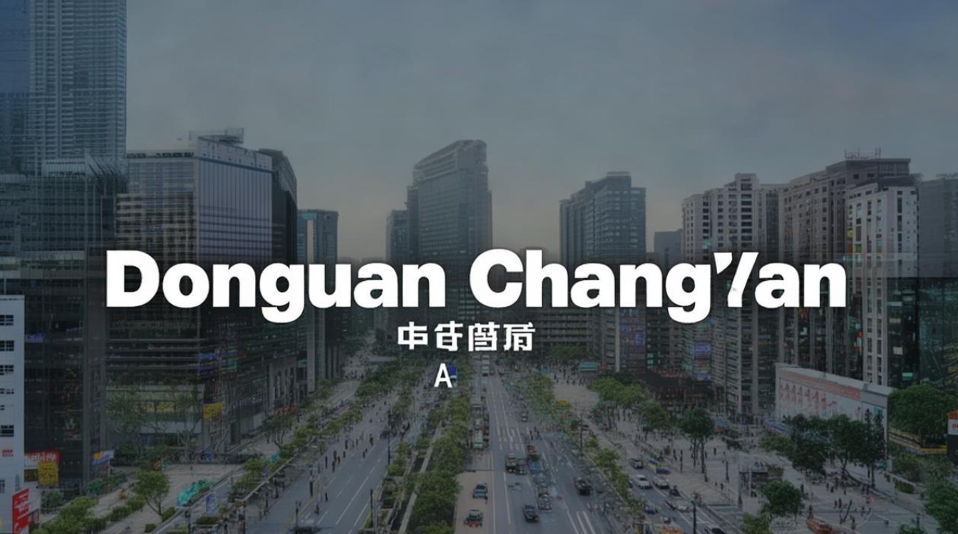 东莞长安的dns是什么