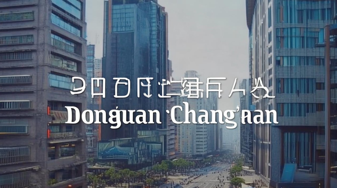 东莞长安的dns是什么