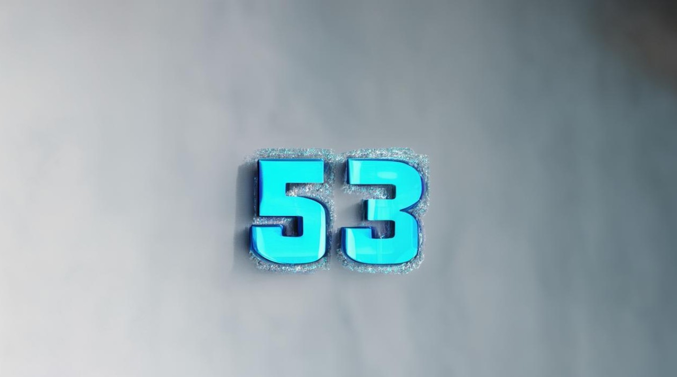 dns53端口啥意思