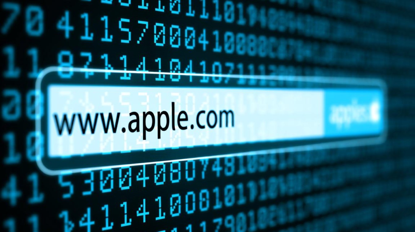 iPad的DNS解析总是失败，应该如何设置才能恢复正常上网？