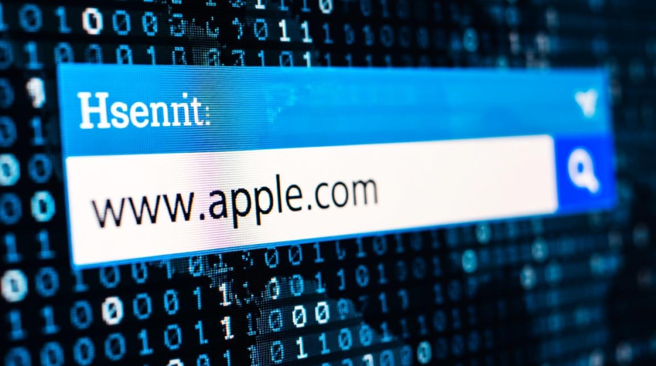 iPad的DNS解析总是失败，应该如何设置才能恢复正常上网？