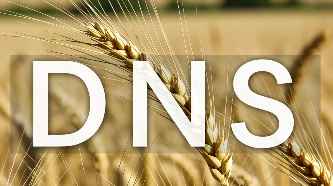 大麦的DNS怎么配置?服务器IP解析错误怎么办? 大麦的DNS怎么配置?服务器IP解析错误怎么办?