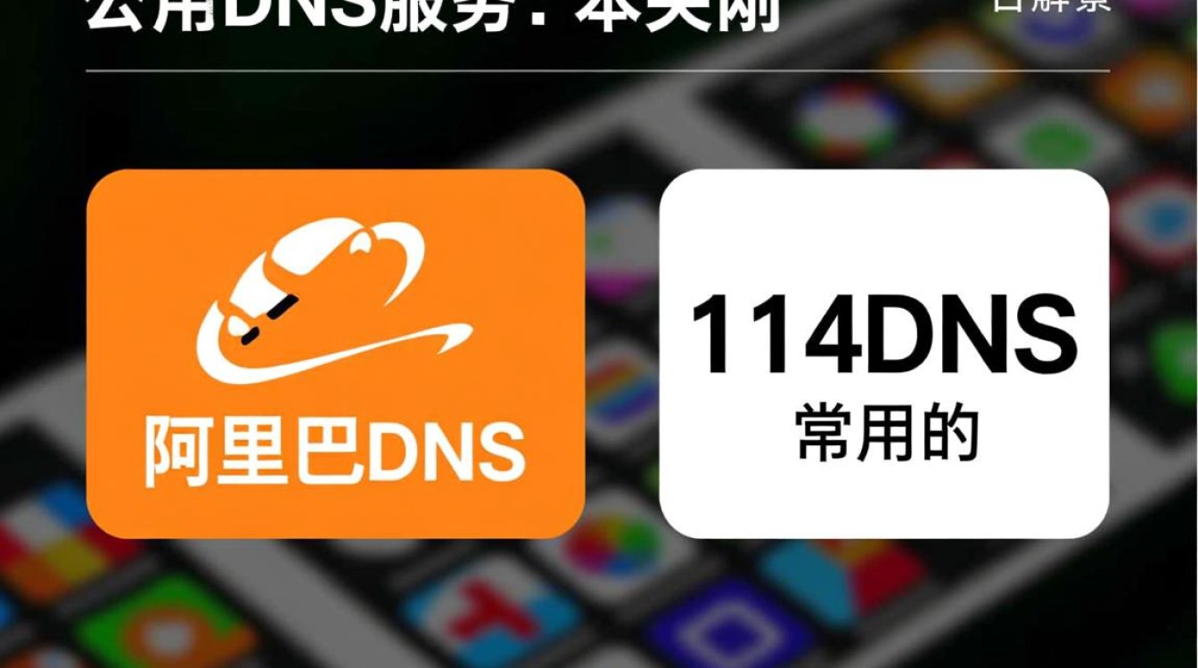 阿里DNS和114DNS哪个更适合家庭网络使用？