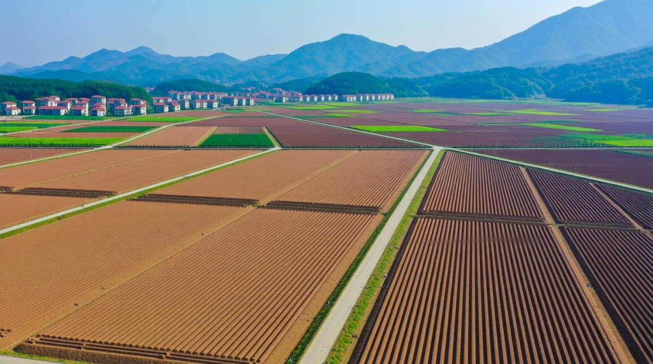 宁乡DNS服务器地址是多少?如何配置本地DNS? 宁乡DNS服务器地址是多少?如何配置本地DNS?