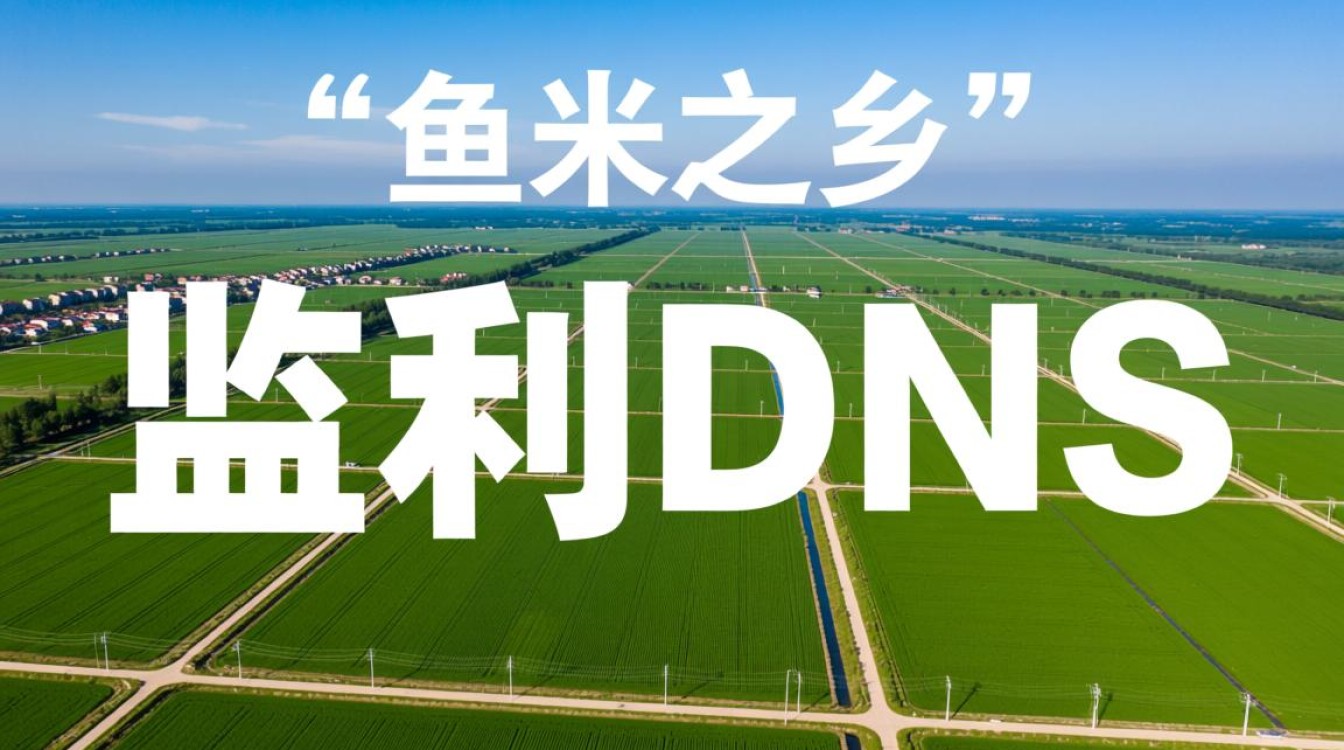 监利DNs是什么？哪里能找到监利DNs资源？