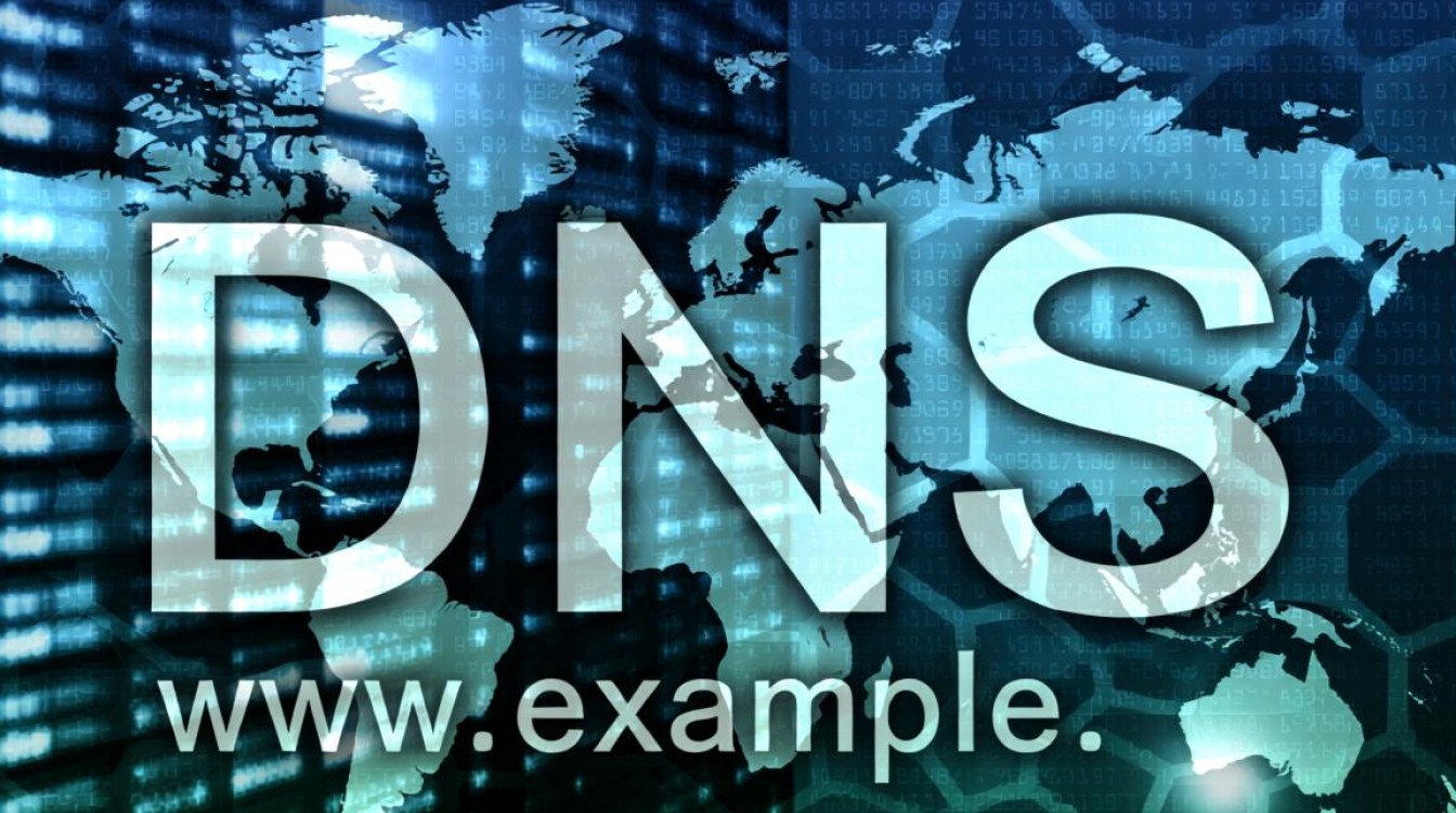 101.101.101.101 DNS是什么？它有什么特殊用途？