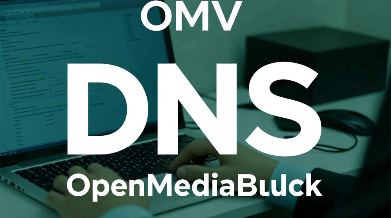 omv dns如何配置？新手必看教程指南