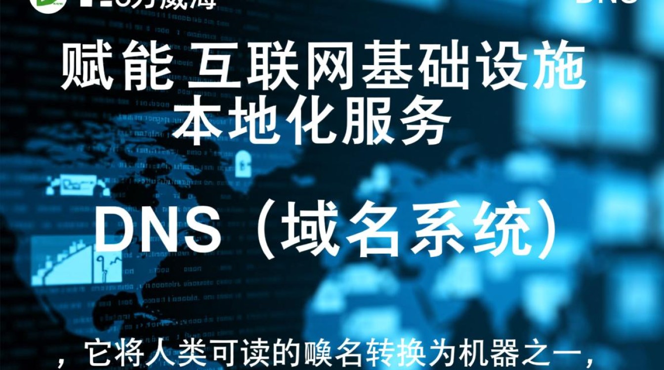 dns威海 dns威海
