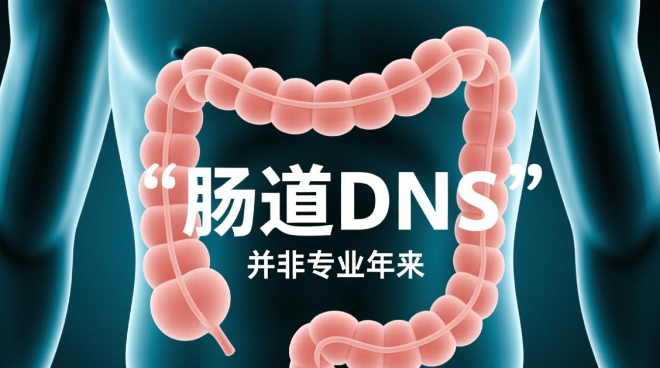 肠道dns是什么?如何影响肠道健康与人体功能? 肠道dns是什么?如何影响肠道健康与人体功能?