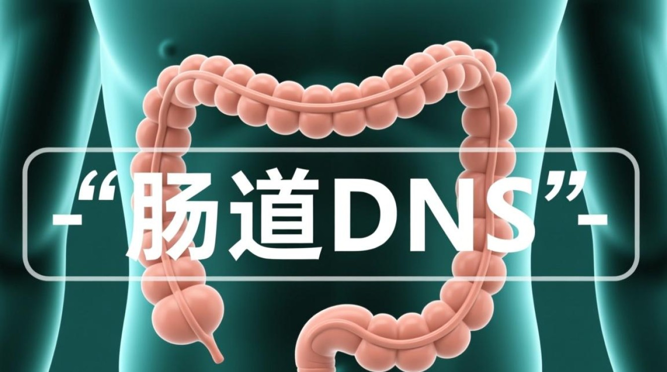 肠道dns是什么?如何影响肠道健康与人体功能? 肠道dns是什么?如何影响肠道健康与人体功能?