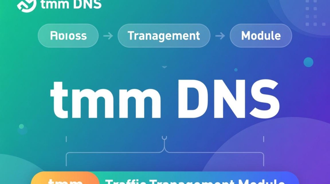 TMDNS是什么？如何正确配置使用TMDNS？