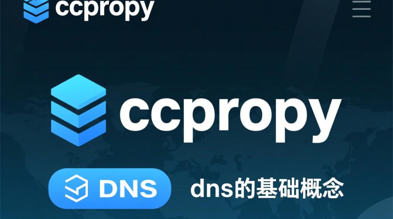ccproxy dns