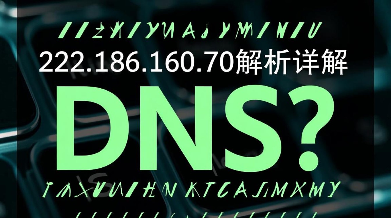 dns 222.186.160.70这个DNS地址有什么特殊用途或功能吗？