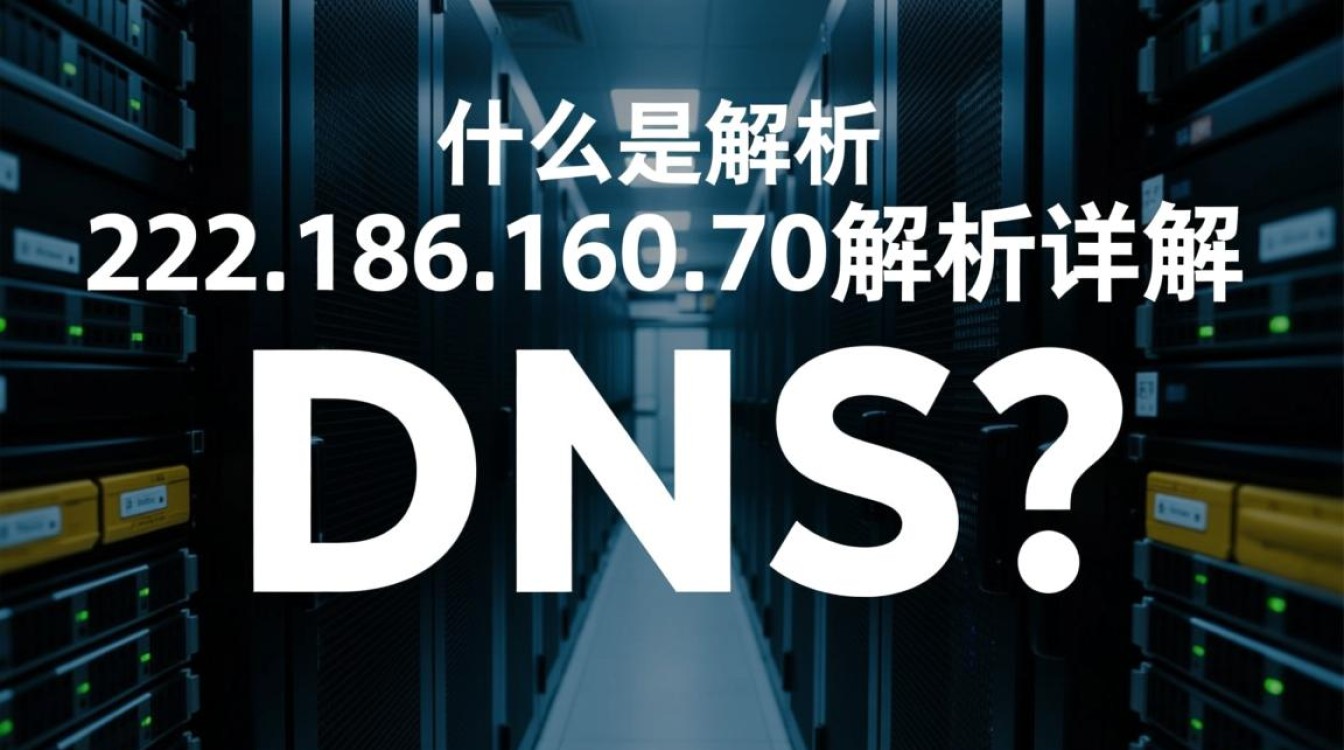 dns 222.186.160.70这个DNS地址有什么特殊用途或功能吗？