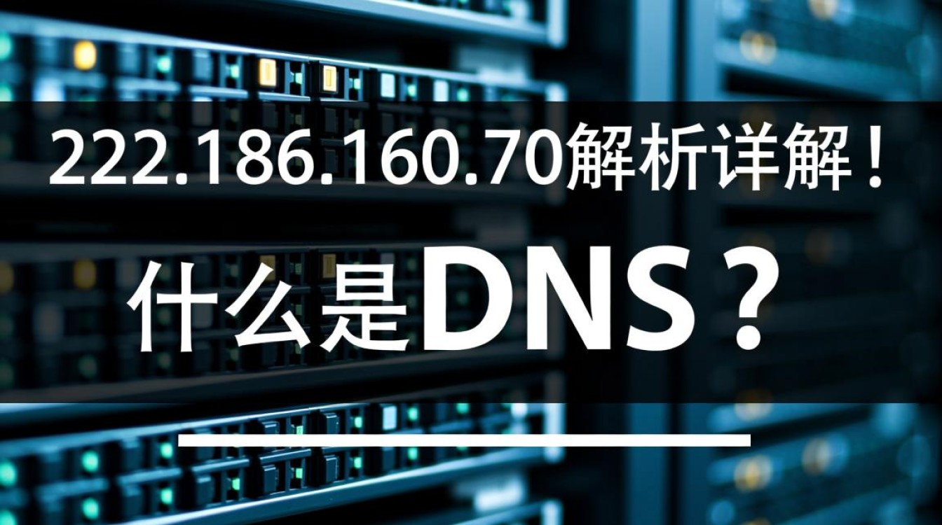 dns 222.186.160.70这个DNS地址有什么特殊用途或功能吗？