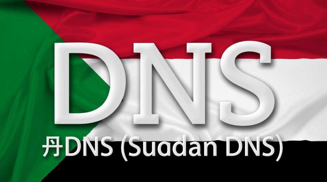 苏丹DNS究竟有何特别之处，为何在全球范围内引发关注？