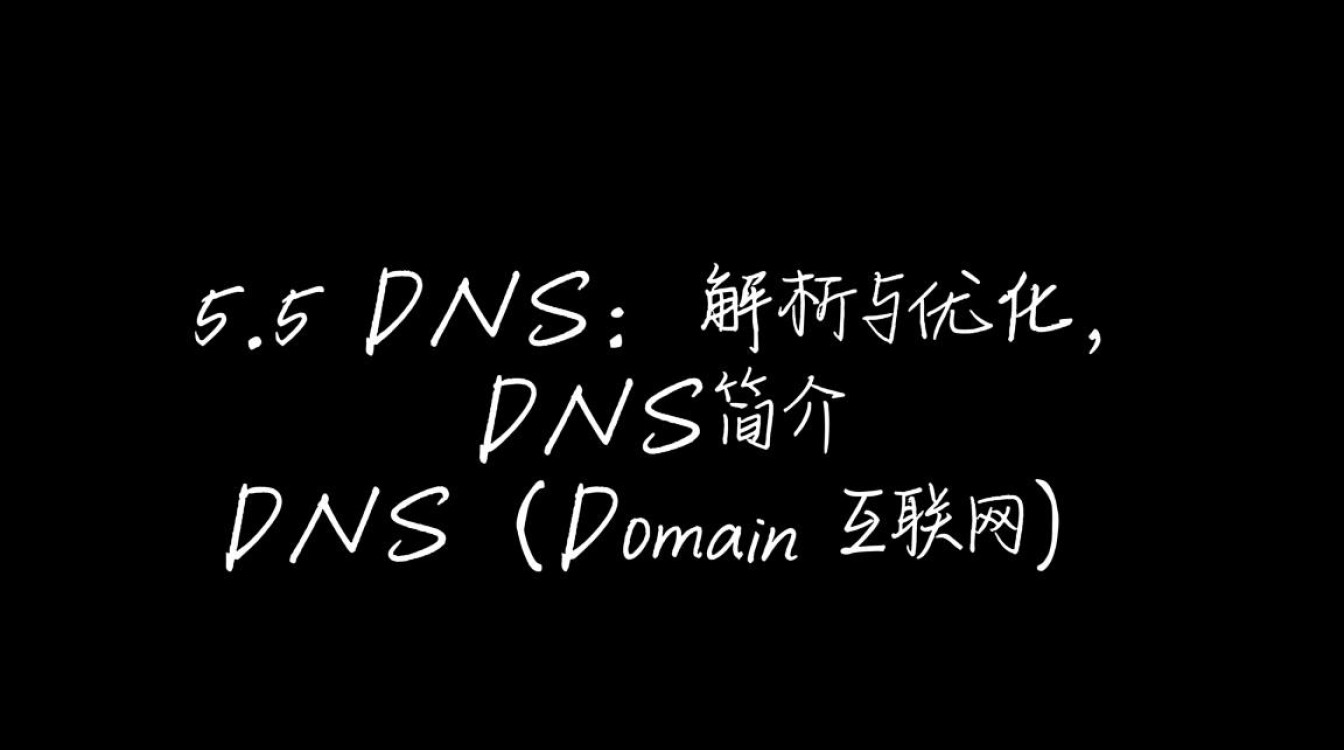 253.5.5.5 DNS具体是什么？为何如此重要？揭秘其奥秘
