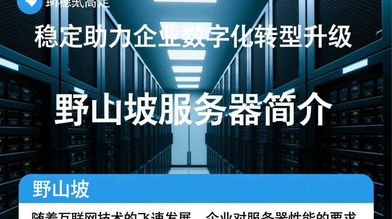 野山坡服务器为何如此受欢迎?揭秘其独特魅力之谜 野山坡服务器为何如此受欢迎?揭秘其独特魅力之谜