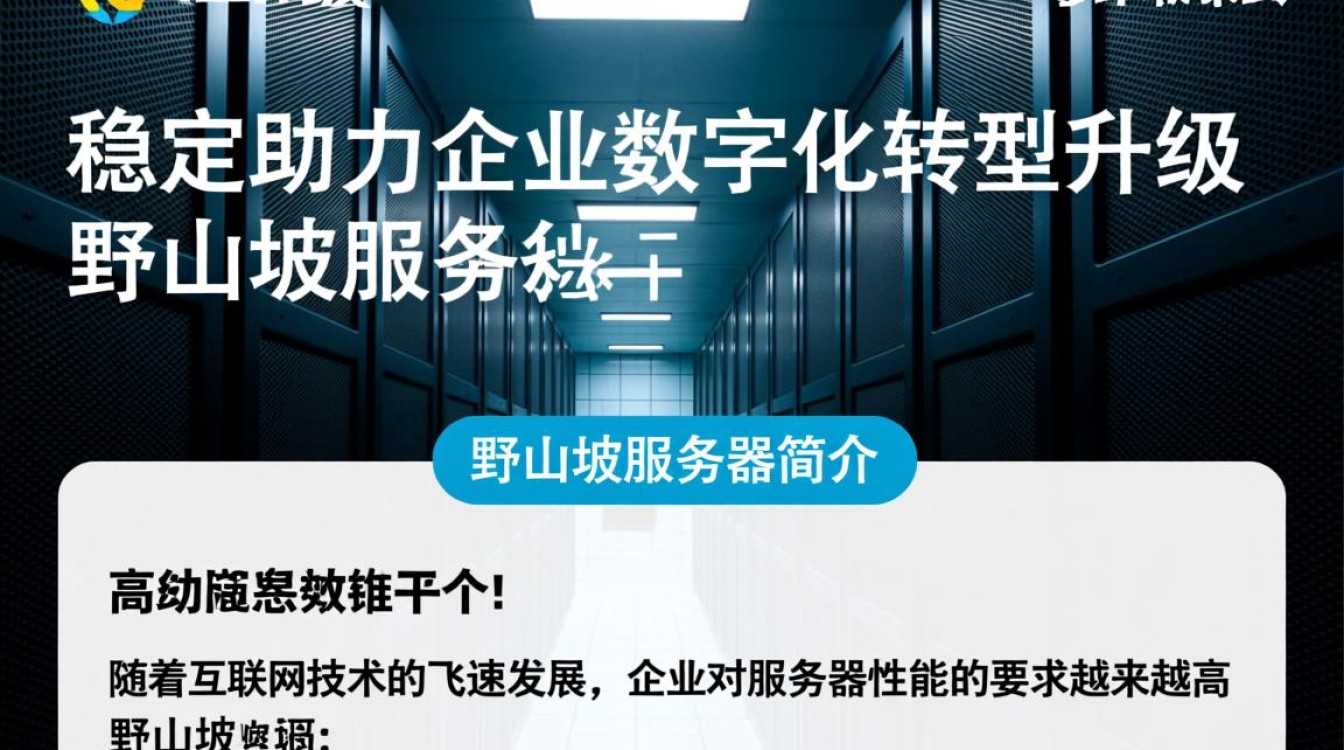 野山坡服务器为何如此受欢迎?揭秘其独特魅力之谜 野山坡服务器为何如此受欢迎?揭秘其独特魅力之谜