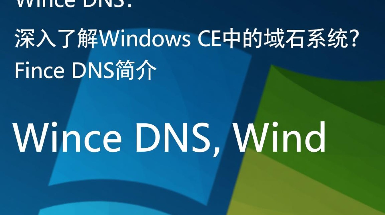 Wince DNS功能如何使用及存在哪些问题？
