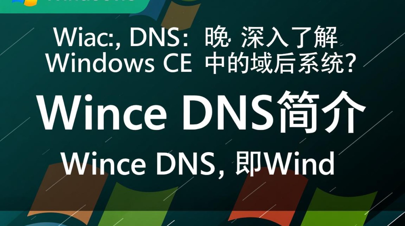 Wince DNS功能如何使用及存在哪些问题？