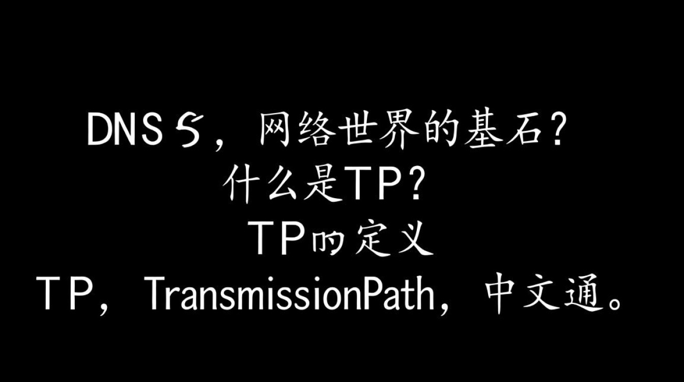 tp dns这项技术具体是如何运作的，其背后的原理和应用场景有哪些？