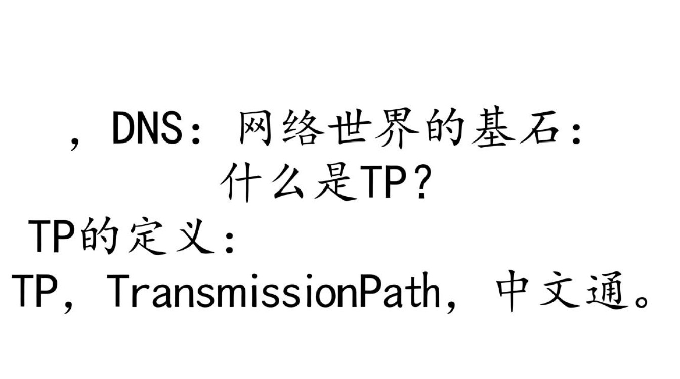 tp dns这项技术具体是如何运作的，其背后的原理和应用场景有哪些？