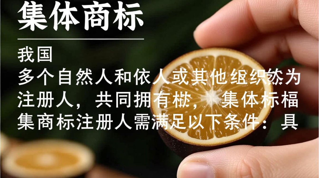 集体商标注册范围究竟涵盖哪些商品或服务？适用条件与限制有哪些？