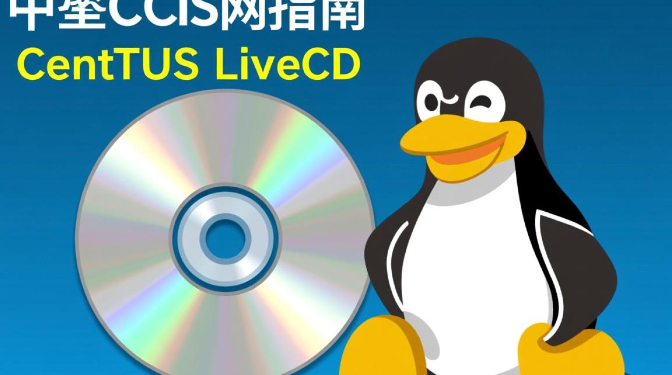 在CentOS LiveCD环境中，如何实现顺畅上网体验？