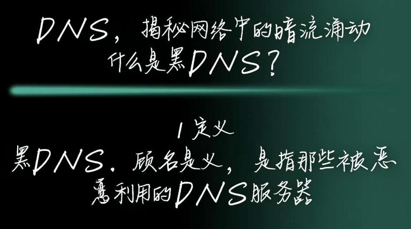 黑dns究竟隐藏哪些秘密？其影响和风险有何特点？