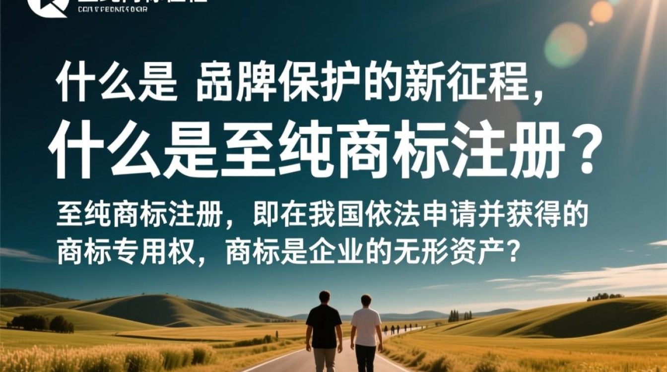 至纯商标注册过程中，有哪些关键步骤和注意事项？