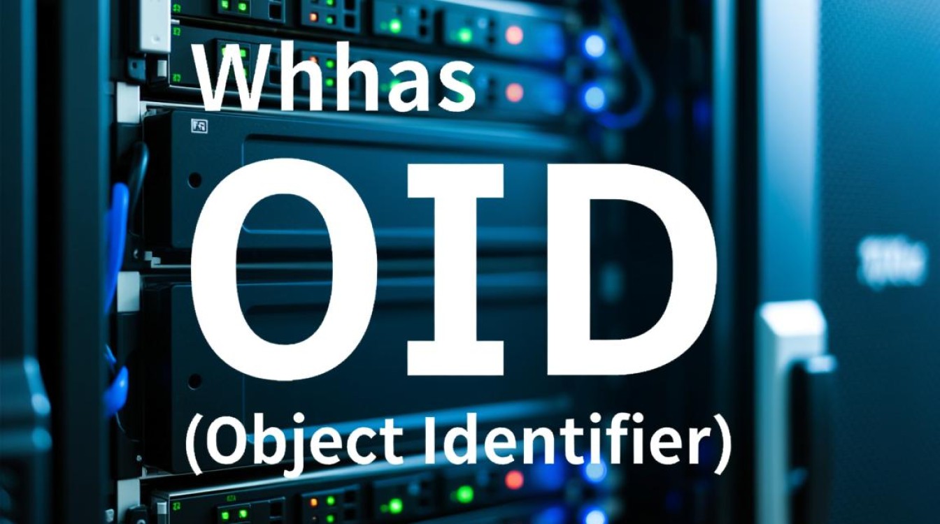 服务器常用oid有哪些？详细解析与实际应用探讨！