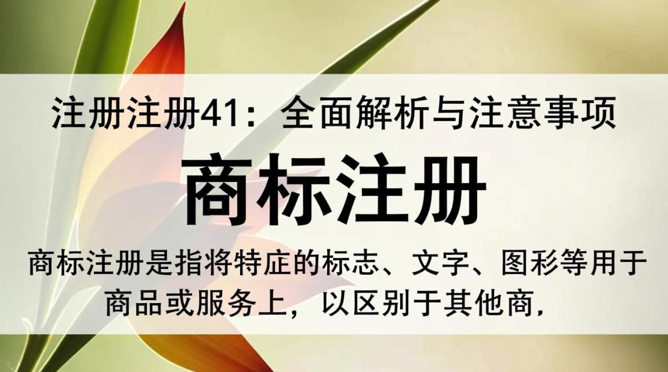 商标注册第41商标注册过程中有哪些常见问题与注意事项？
