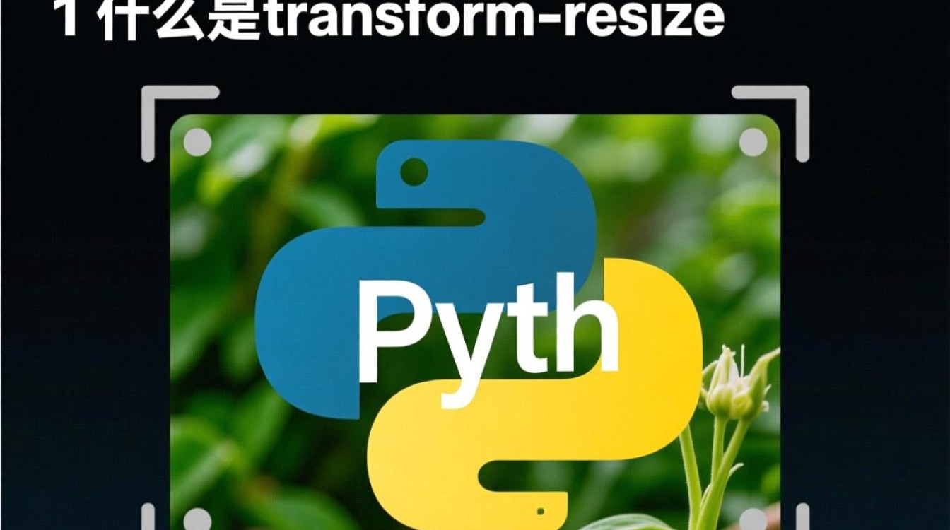 transform.resize 报错原因及解决方法详解为什么我的图像处理中transform.resize总出错？