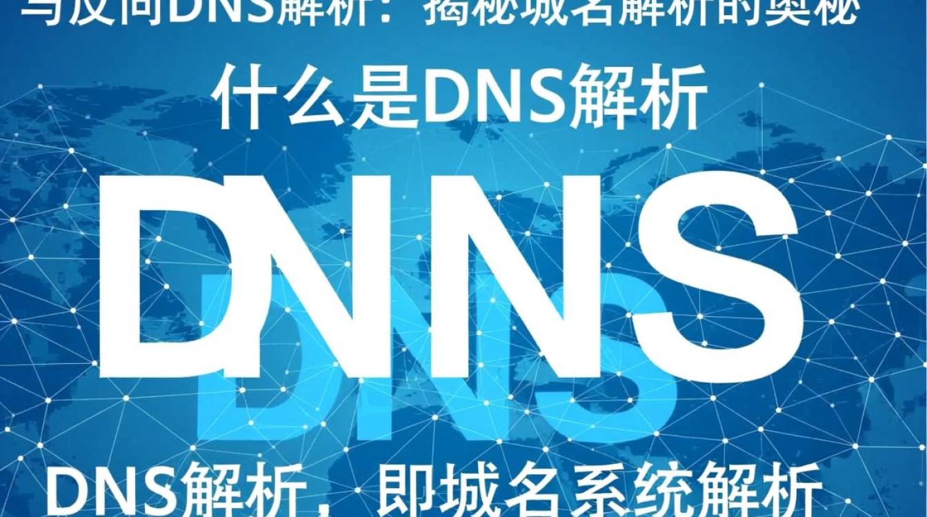 DNS解析与反向DNS，它们有何区别与联系，又如何影响网络使用？