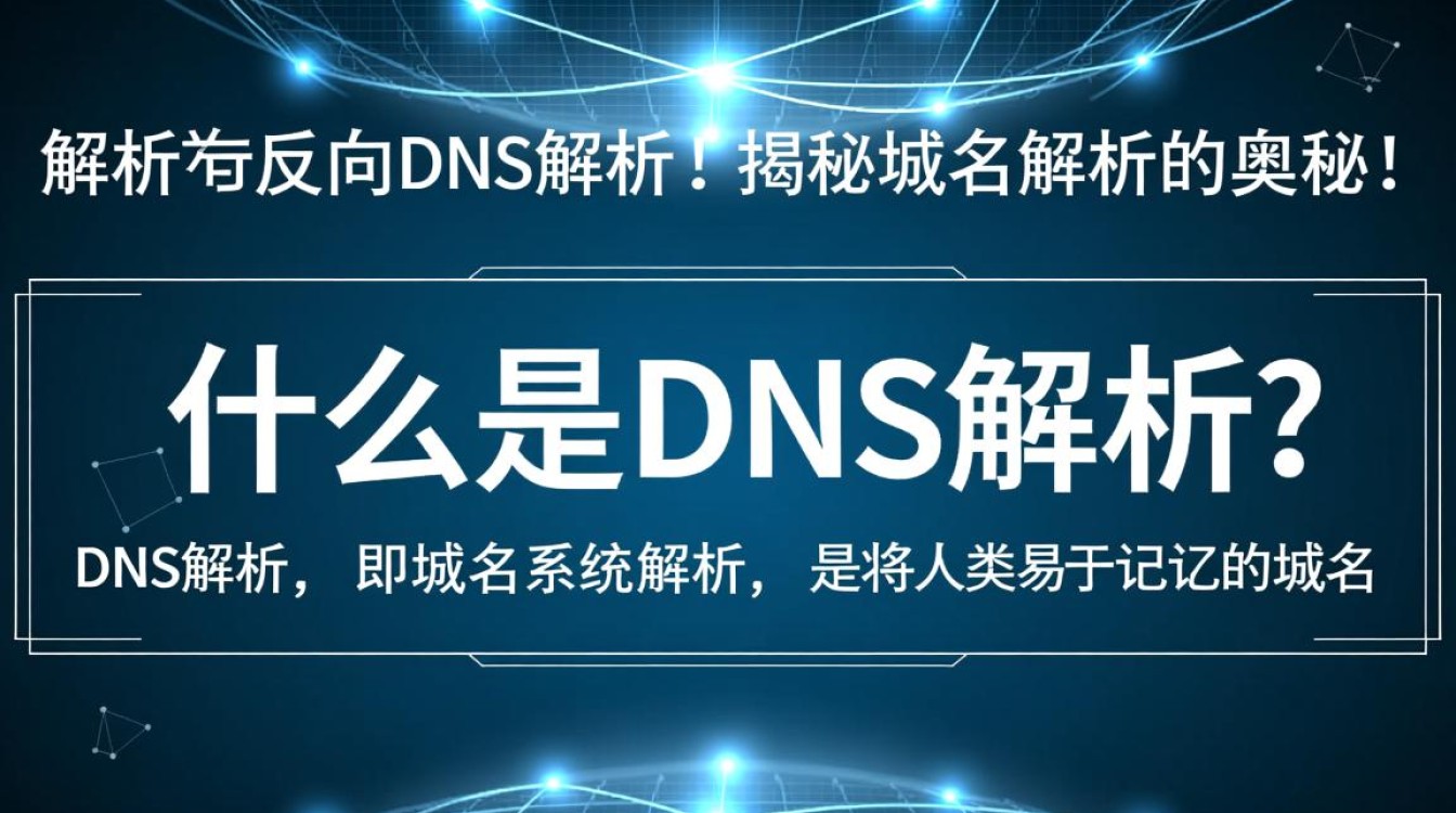 DNS解析与反向DNS，它们有何区别与联系，又如何影响网络使用？