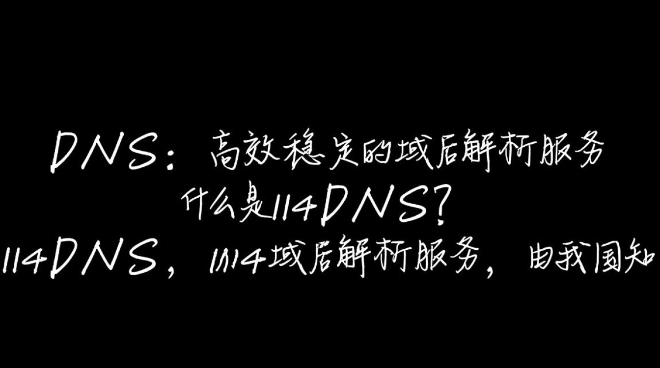 114 DNS114 DNS之谜，究竟是什么隐藏在数字背后的秘密？