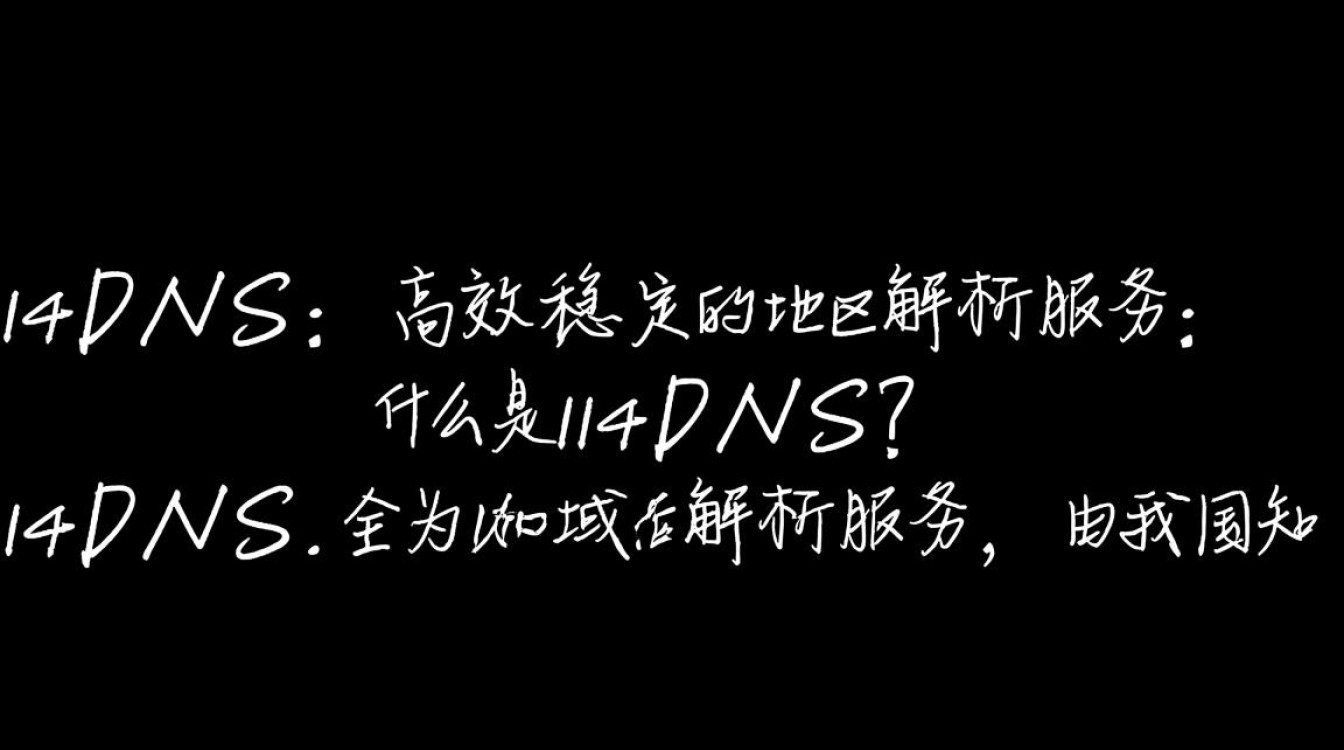 114 DNS114 DNS之谜，究竟是什么隐藏在数字背后的秘密？