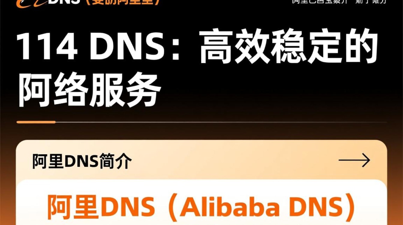 阿里dns的114 dns功能特点及应用场景有哪些？