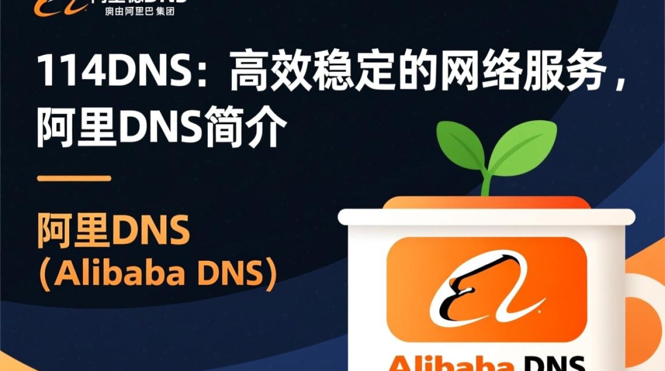 阿里dns的114 dns功能特点及应用场景有哪些？