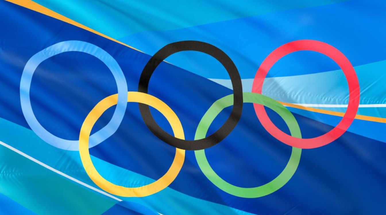 冬奥会上dns什么意思 冬奥会上dns什么意思