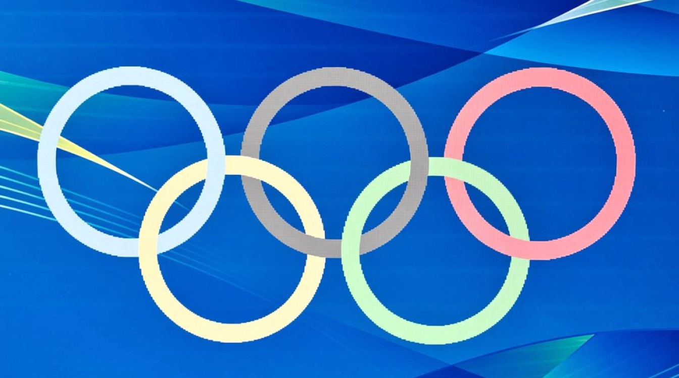 冬奥会上dns什么意思 冬奥会上dns什么意思