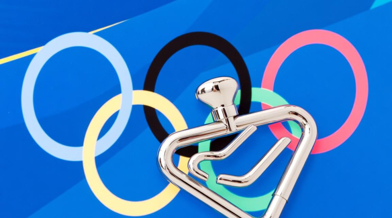 冬奥会上dns什么意思 冬奥会上dns什么意思